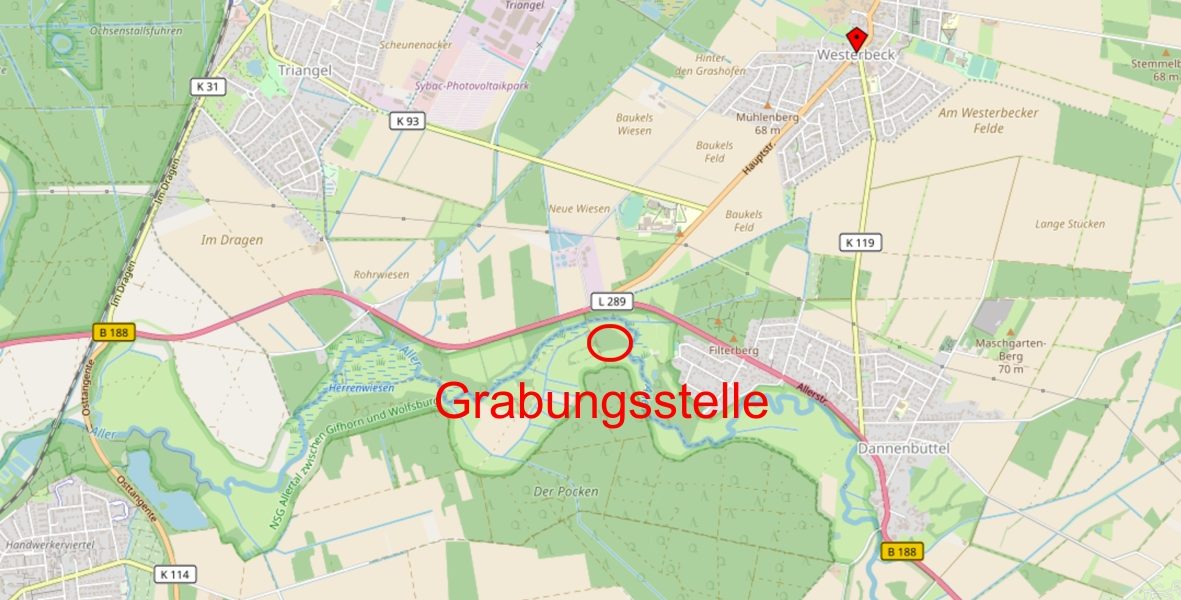 Grabung Sassenburg