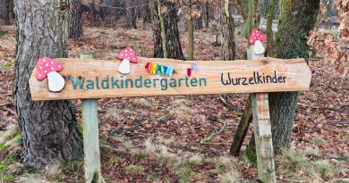 Wald-Kita_Wurzelkinder