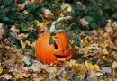 Herbstferien_2025
