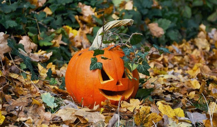 Herbstferien_2025