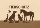 Tierschutz