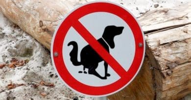 Umfrage: Mehr Hun­de­kot­sta­tio­nen für die Sassenburg?